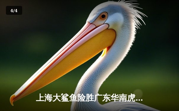 上海大鲨鱼险胜广东华南虎，王哲林狂砍35分率队逆转晋级总决赛 - 4